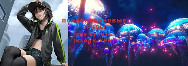 спиды Каменногорск