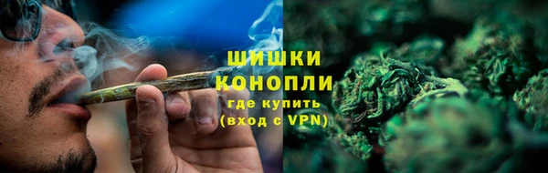спиды Каменногорск