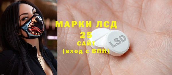 спиды Каменногорск