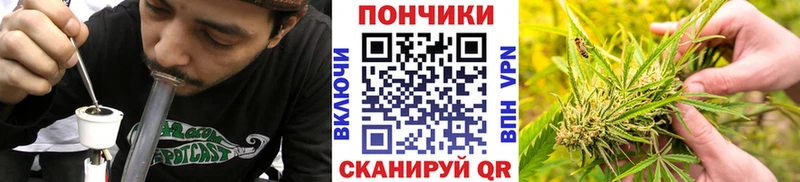 Шишки марихуана конопля  кракен рабочий сайт  Куйбышев 
